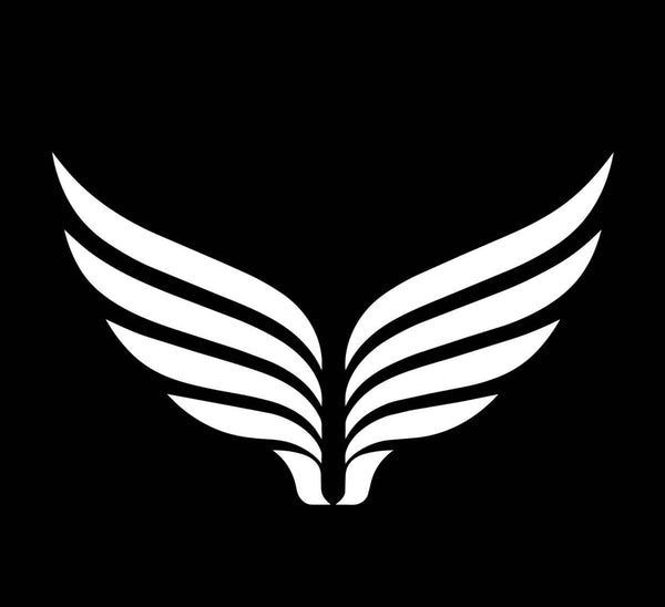 IcarusMoto